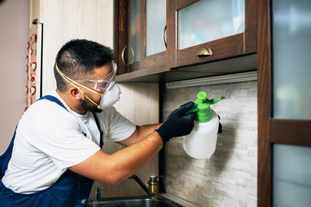 Best Best Pest Control Companies  in Rose, LA