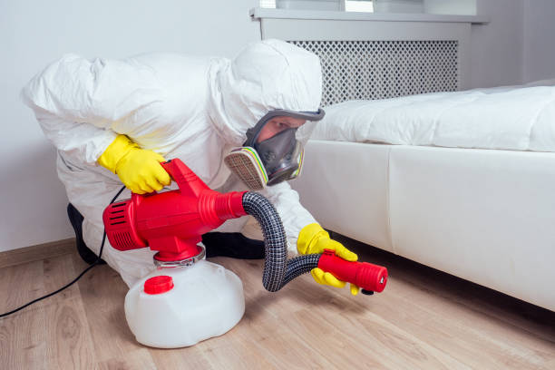 Best Mosquito Control Services  in Rose, LA