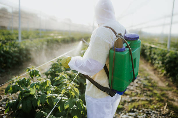Wildlife Control Services in Larose, LA